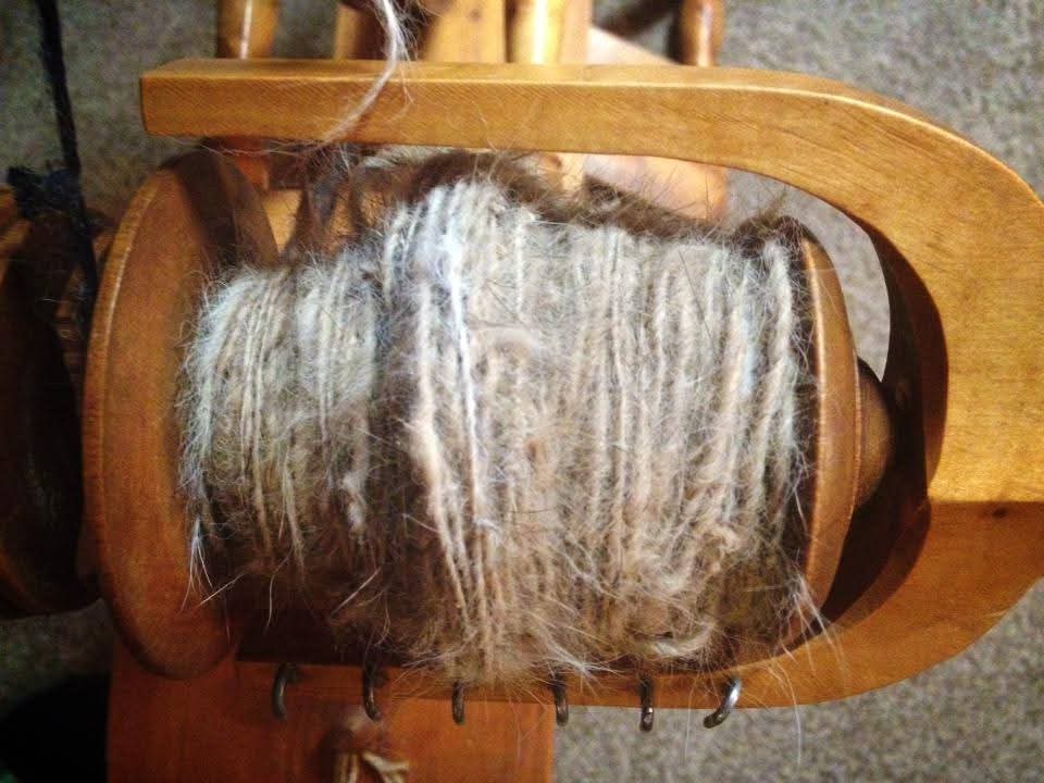 Custom made hat from your dog!