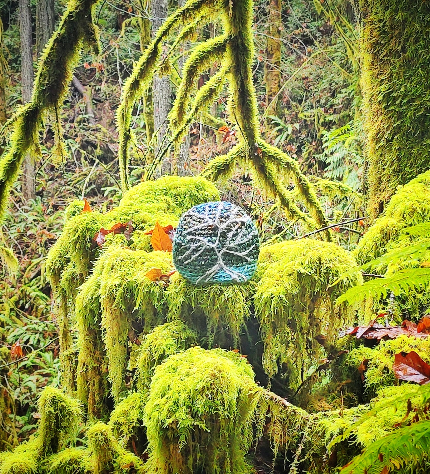 Mossy Tree