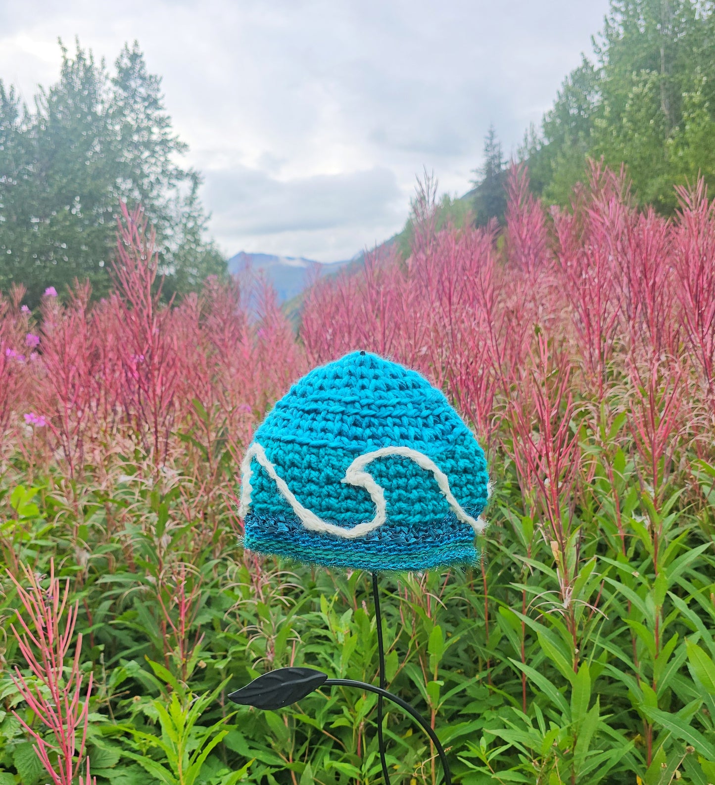 Kenai Waves