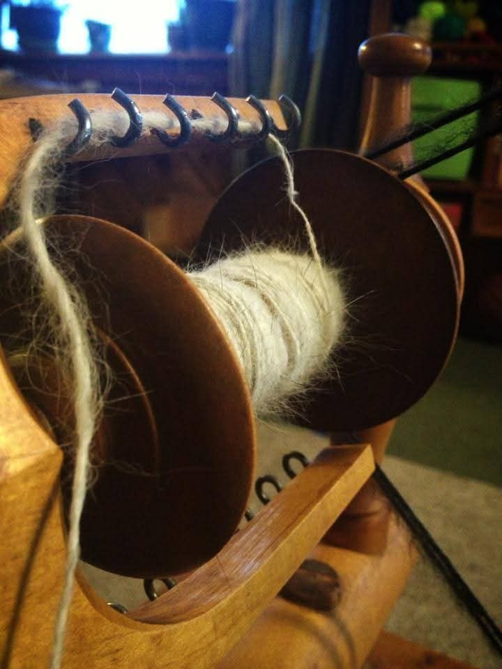 Custom made hat from your dog!